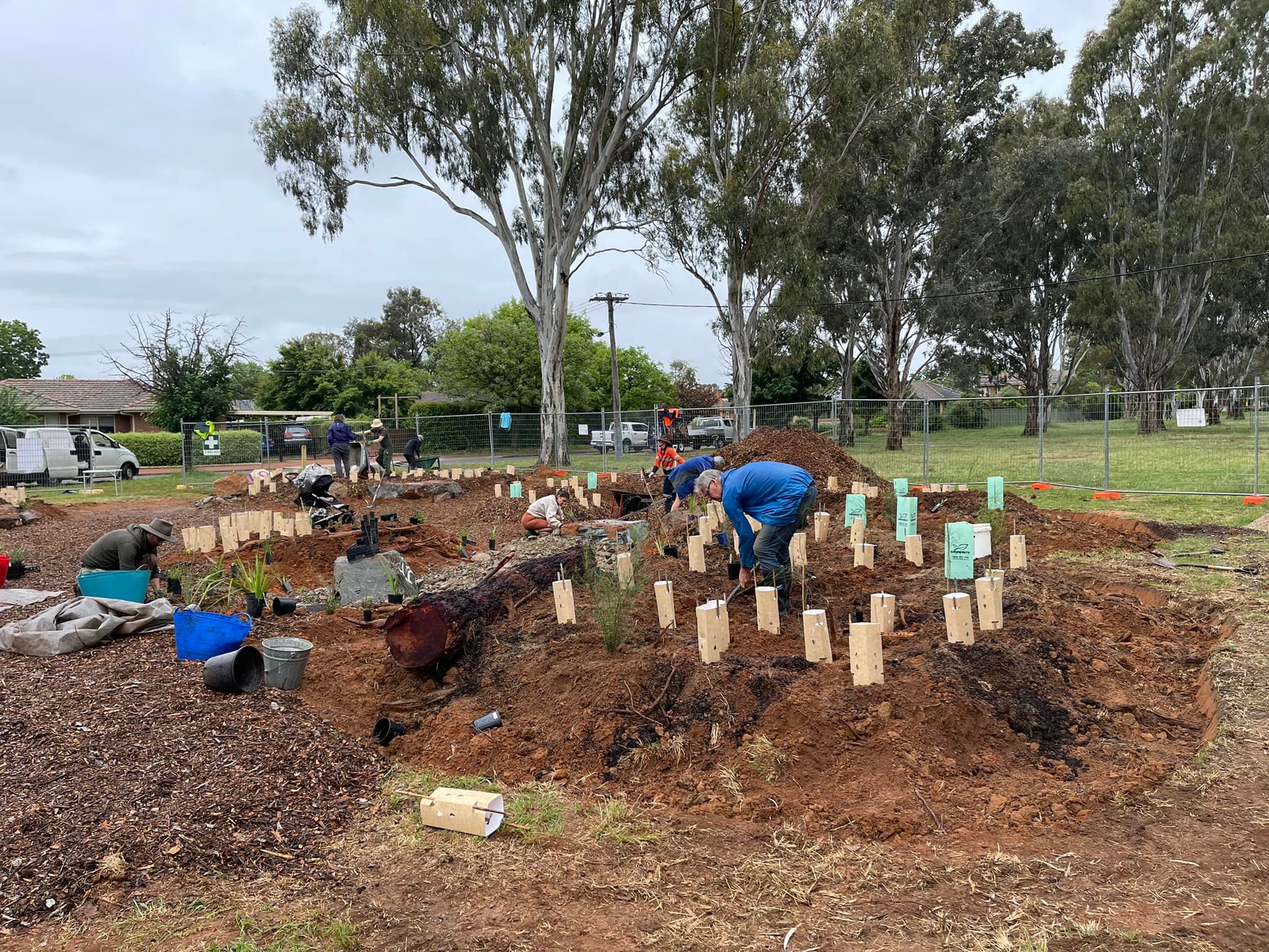 Photos from Watson Micro-Forest Planting Day – Holt Micro-Forest